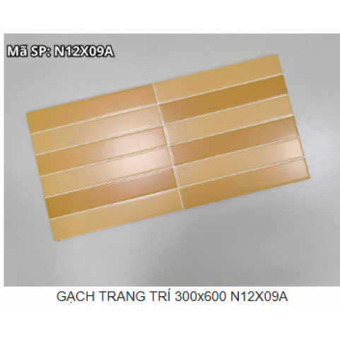 GẠCH TRANG TRÍ 300x600 N12X09A