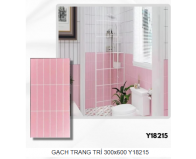 GẠCH TRANG TRÍ 300x600 Y18215
