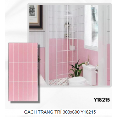 GẠCH TRANG TRÍ 300x600 Y18215