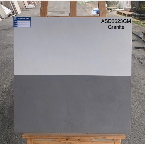 Gạch lát nền nhà tắm Viglacera 30×60 ASD3623GM