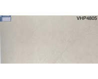 Gạch Viglacera 40x80 VHP4805