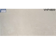 Gạch 40x80 Viglacera VHP4809