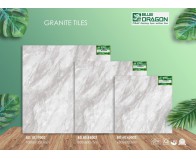  Đá Granite 100x100 BD19002