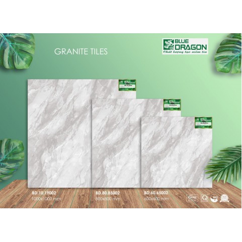 Đá Granite 100x100 BD19002 Đá Granite 100x100 BD19002