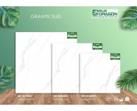 Đá Granite 100x100 BD19003