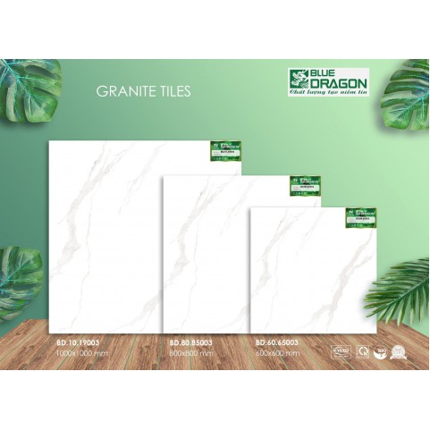 Đá Granite 100x100 BD19003 Đá Granite 100x100 BD19003