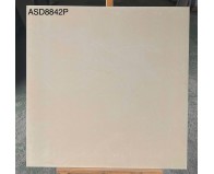 Gạch Viglacera  Bề Mặt Mờ ASD8842P