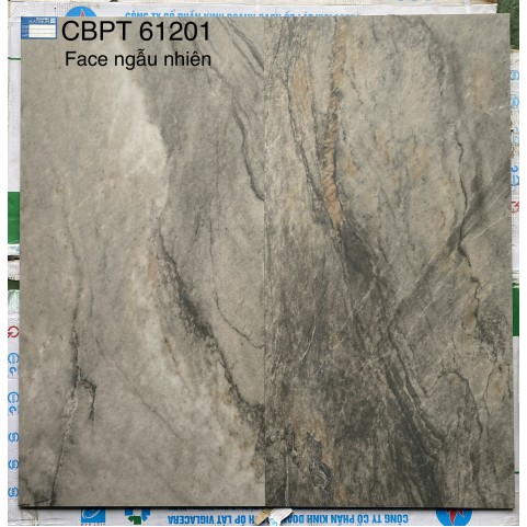 Gạch ốp lát 60x120 Viglacera CB-PT61201 Gạch ốp lát 60x120 Viglacera CB-PT61201