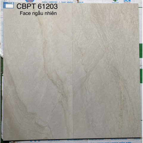 Gạch ốp lát 60x120 Viglacera CB-PT61203 Gạch ốp lát 60x120 Viglacera CB-PT61203