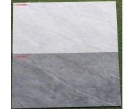 Bộ Gạch Bóng 40x80 CAGP4803