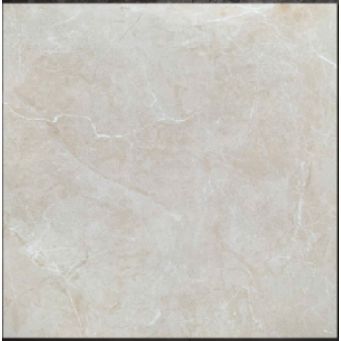 Gạch lát nền Viglacera 80x80 TS25-VGP801