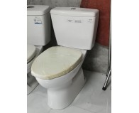 MẪU TOTO CS300DT3Y1