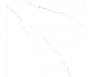 Gạch lát nền Viglacera CL1-GP8801