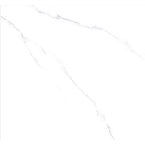 Gạch lát nền Viglacera CL1-GP8801