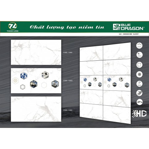 Gạch Bán Sứ Blue Dargon 12001 Gạch Bán Sứ Blue Dargon 12001