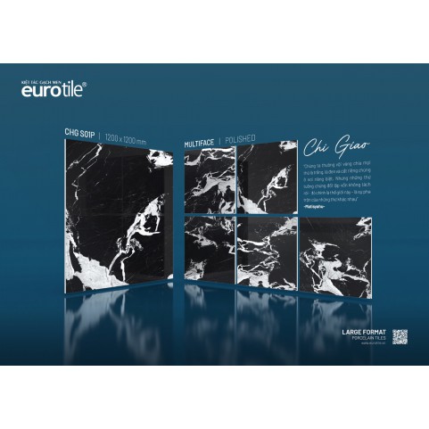 Gạch Euro Tile CHG S01P Gạch Euro Tile CHG S01P