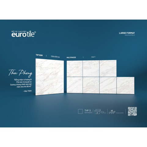 Gạch Euro Tile THP S01M Gạch Euro Tile THP S01M