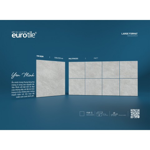Gạch Euro Tile YMI S02M Gạch Euro Tile YMI S02M