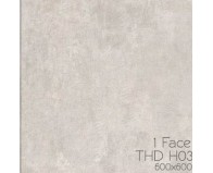 Gạch Eurotile 60x60 THD-H03