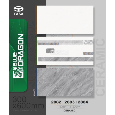 Gạch men 30x60 Đất Quảng 2884