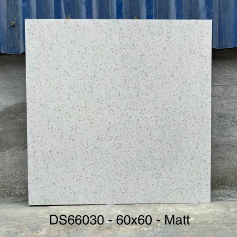 Gạch Terrazo 60x60 DS66030 Gạch Terrazo 60x60 DS66030