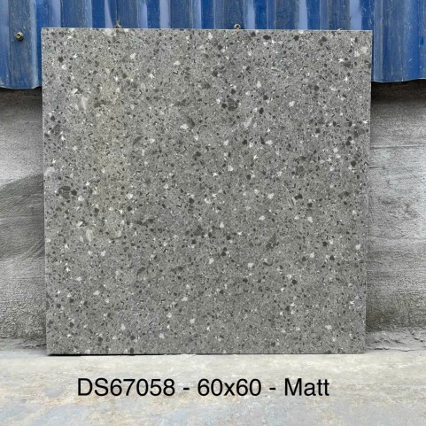 Gạch Terrazzo 60x60 DS67058 Gạch Terrazzo 60x60 DS67058
