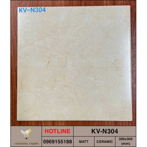 Gạch Viglacera KV-N304