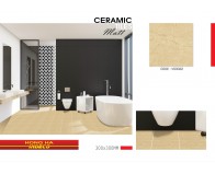 Gạch men 30x30 VS3022